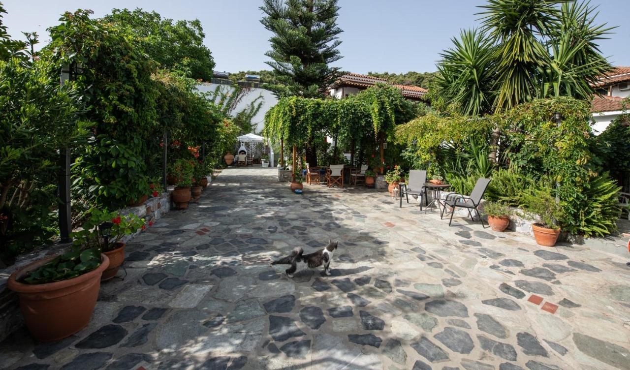 Katikies Stamatias Studios & Maisonettes Agnontas 外观 照片