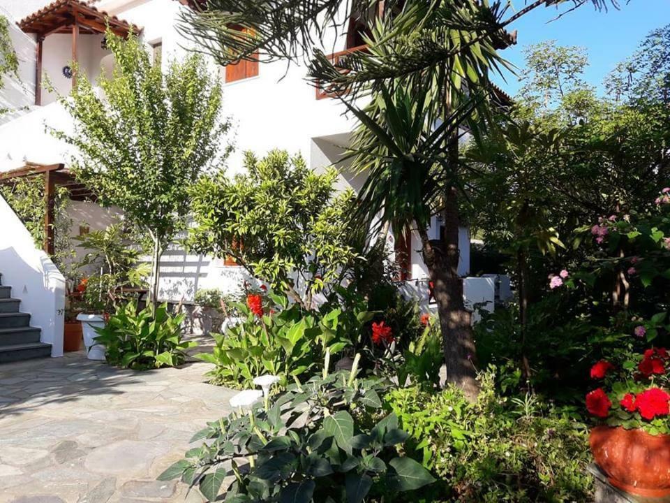 Katikies Stamatias Studios & Maisonettes Agnontas 外观 照片