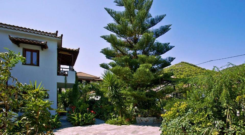 Katikies Stamatias Studios & Maisonettes Agnontas 外观 照片